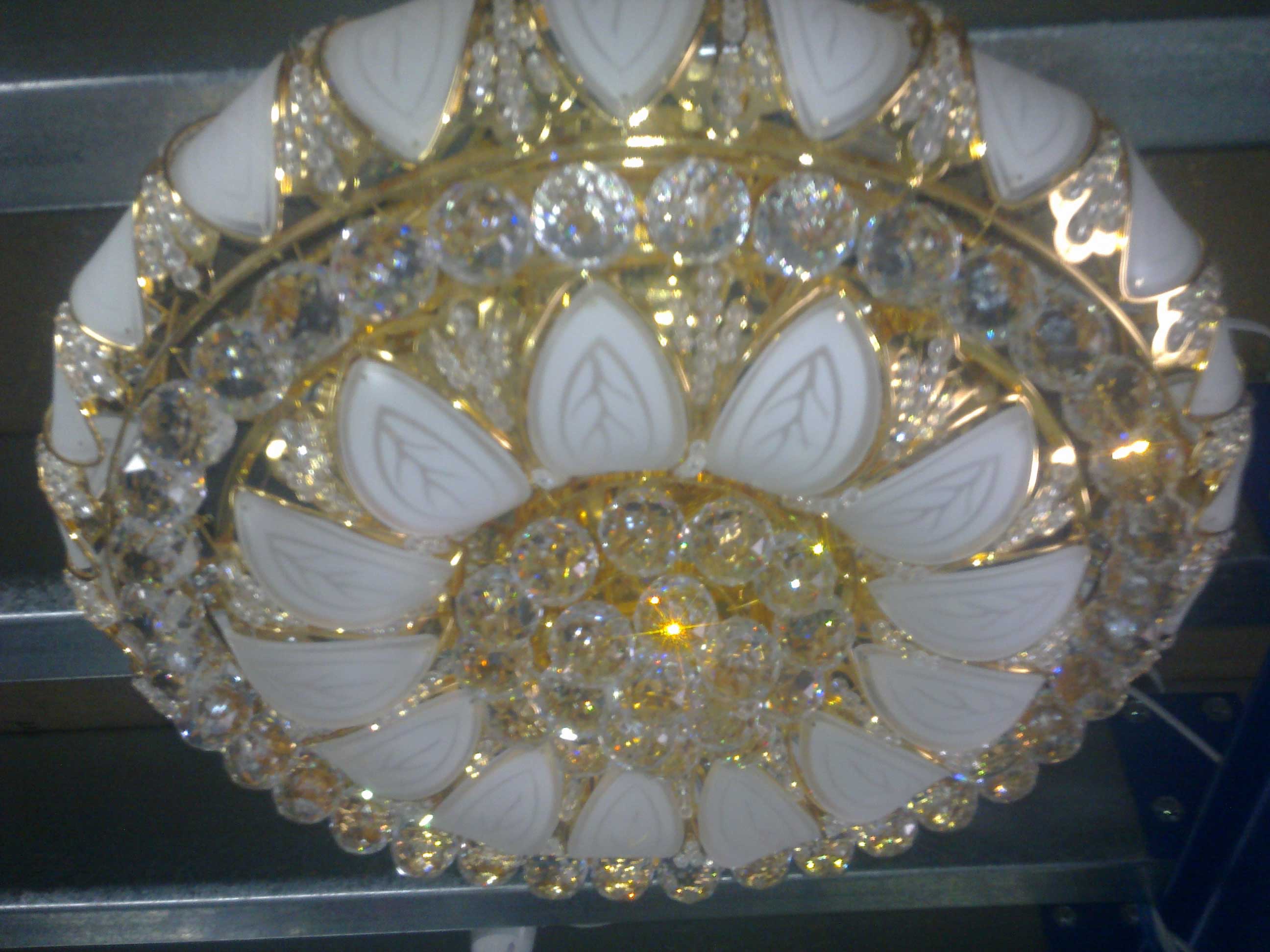 Crystal Oyster