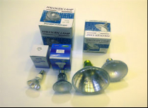Halogen Globe p20 50w